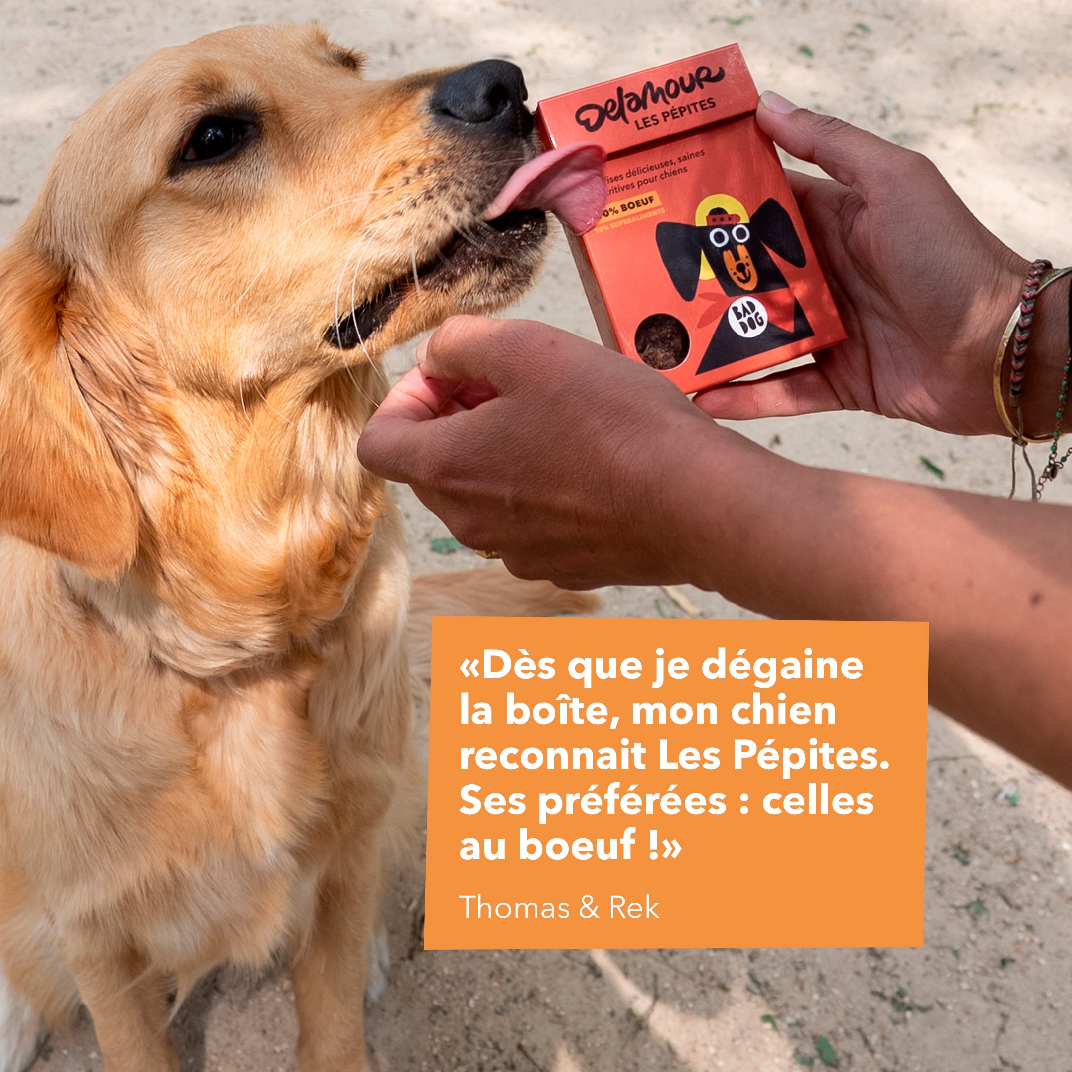 delamour-les-p-pites-friandise-chien-boeuf-90-nomade-75g image 5