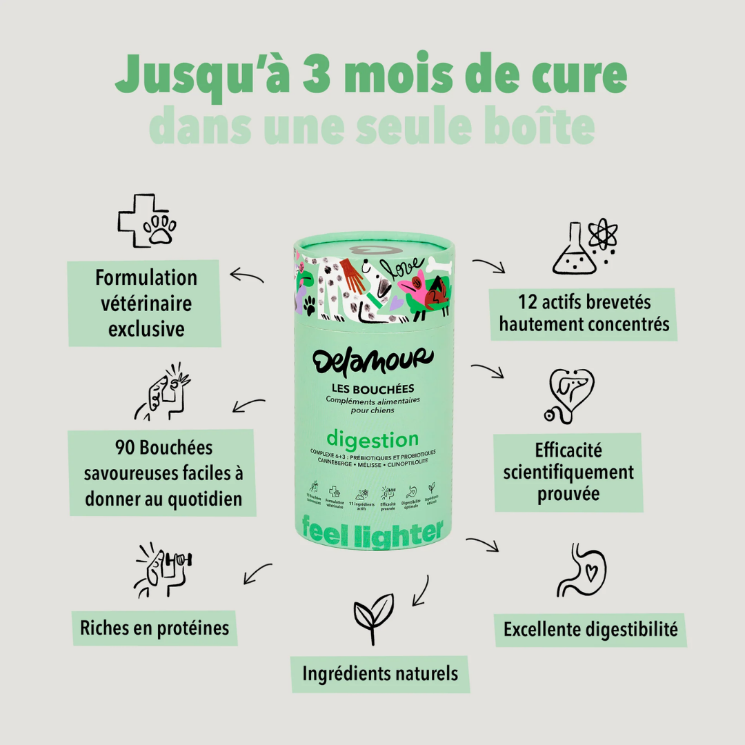 delamour-les-coffrets-digestion-coffret-chien-90-bouch-es image 4