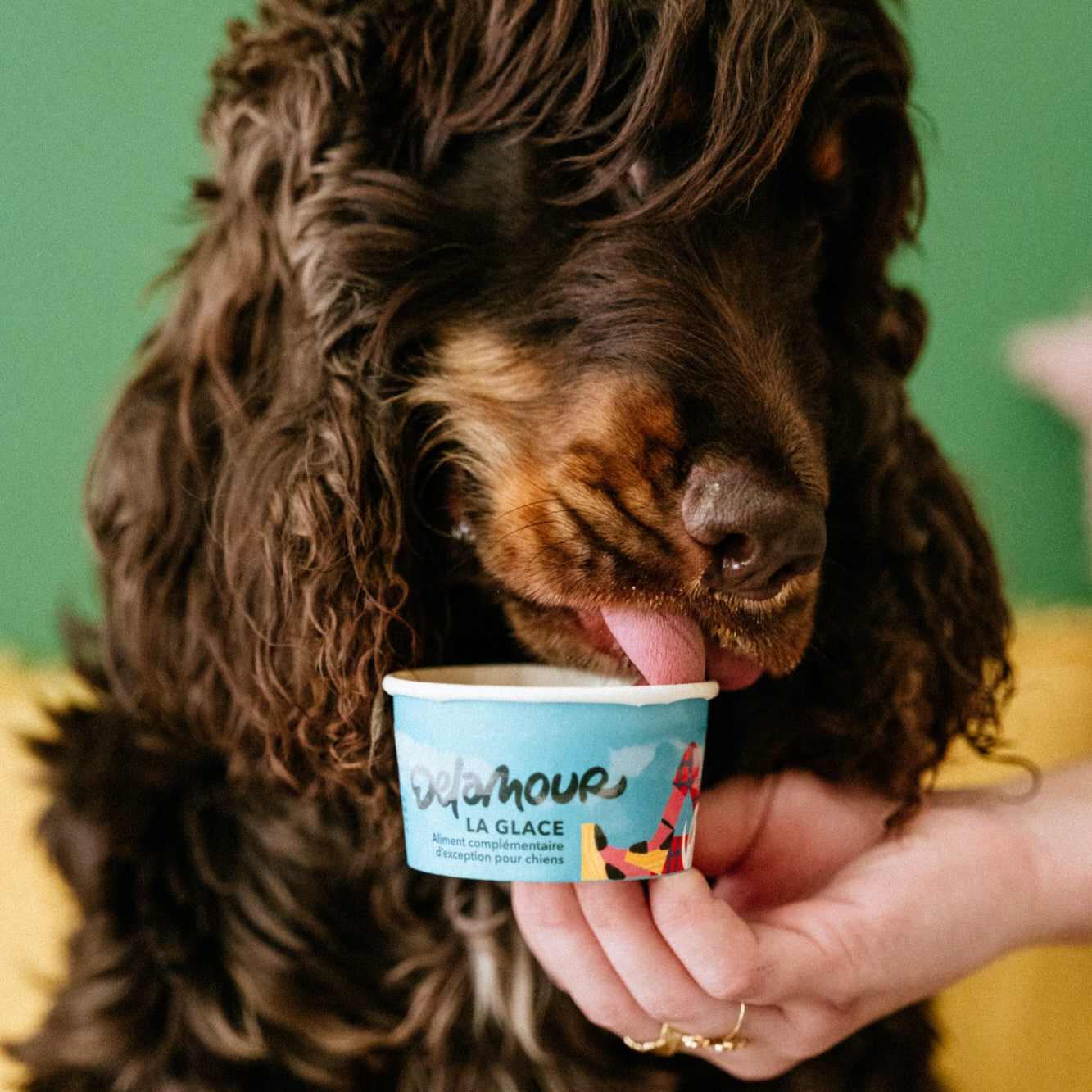 delamour-la-glace-l-originale-glace-pour-chien-12-pots-poulet-r-ti image 2