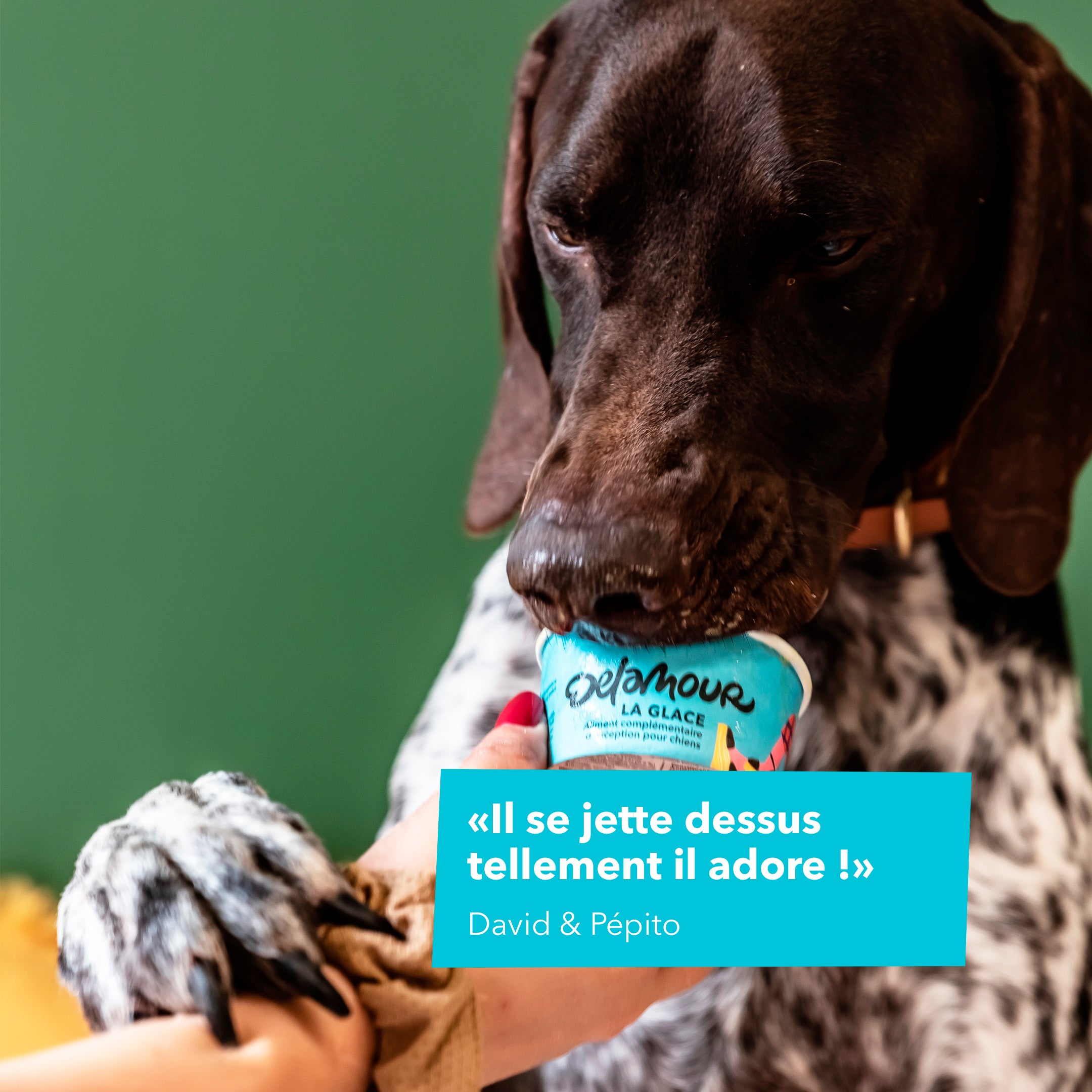 delamour-la-glace-l-originale-glace-pour-chien-12-pots-poulet-r-ti image 5
