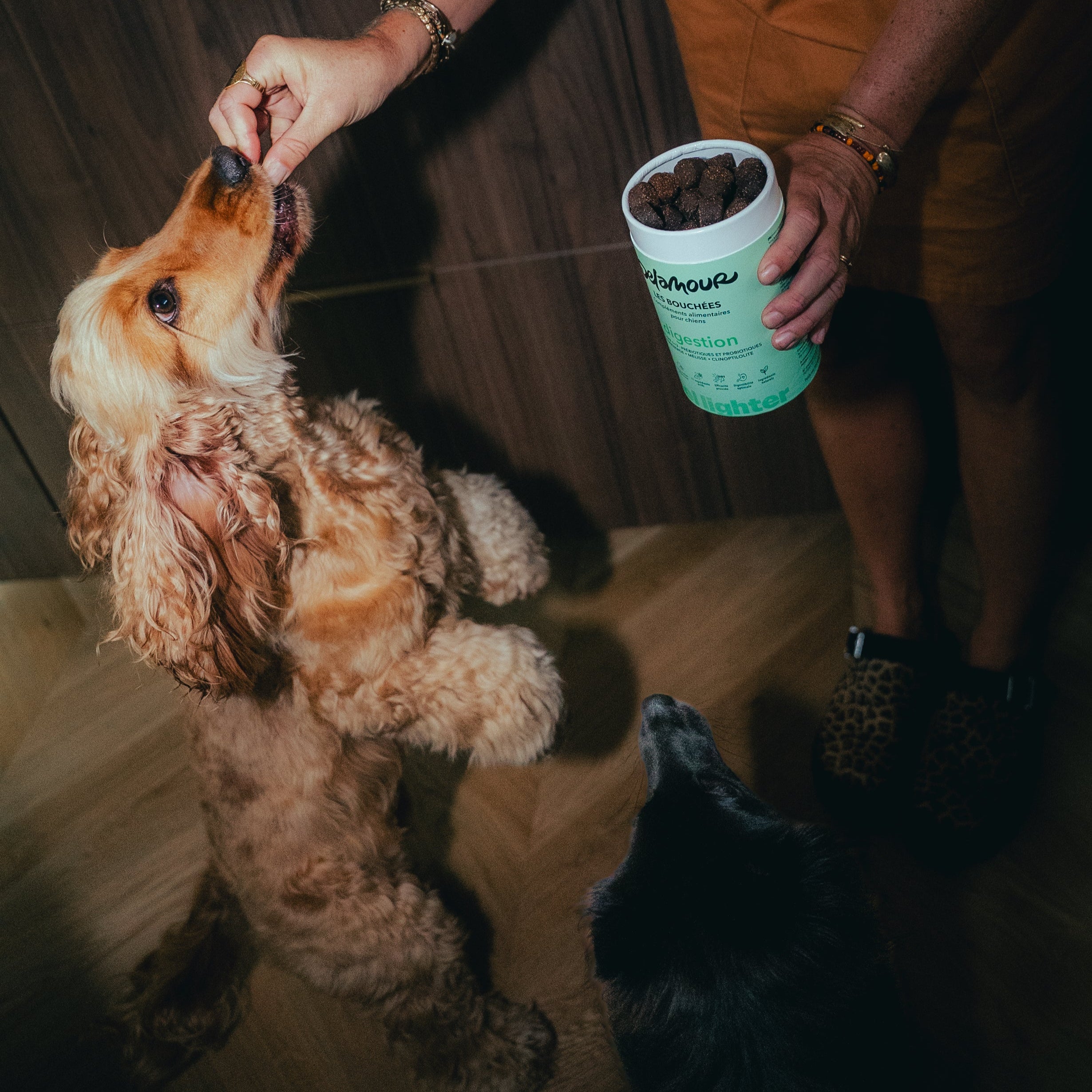 delamour-les-bouch-es-digestion-compl-ment-chien-4-bo-tes image 2