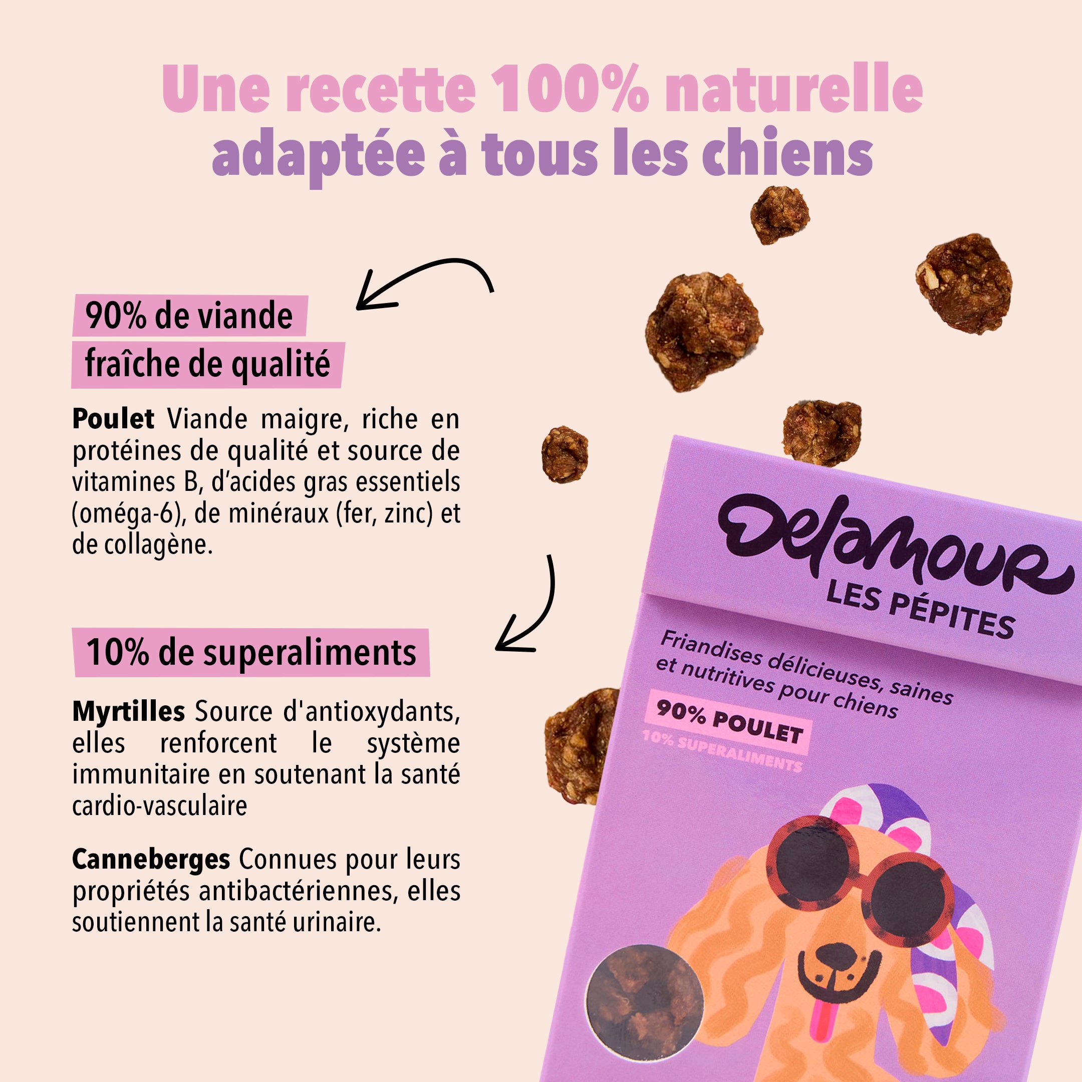 delamour-les-p-pites-poulet-friandise-chien-10-sachets-recharge image 5