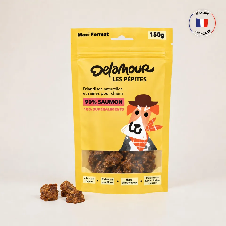 delamour-les-p-pites-friandises-saumon-recharge-10-sachets-om-ga-3 image 1